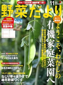 野菜だより2025年11月冬号