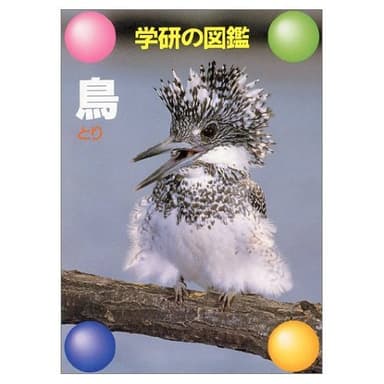 鳥 (学研の図鑑)