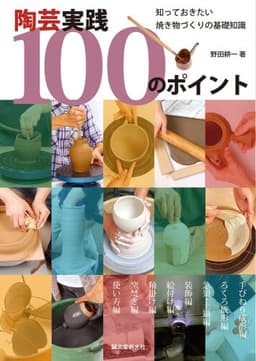 陶芸実践100のポイント : 知っておきたい焼き物づくりの基礎知識