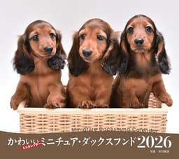 2026年カレンダー かわいいミニチュア・ダックスフンド (誠文堂新光社カレンダー)
