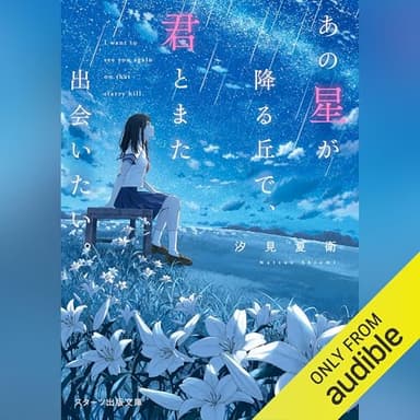 あの星が降る丘で、君とまた出会いたい。