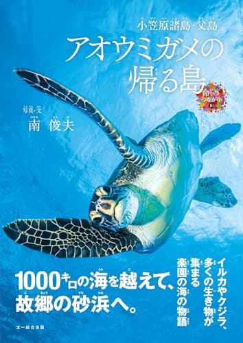 小笠原諸島・父島 アオウミガメの帰る島