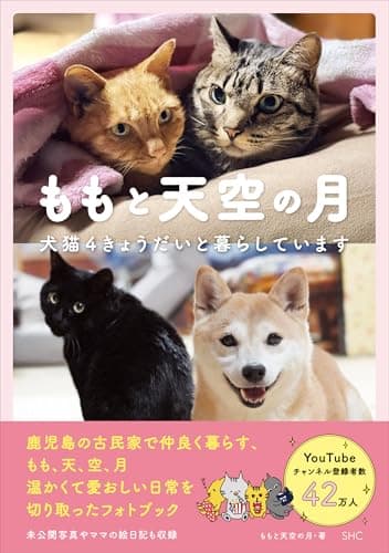 ももと天空の月　犬猫４きょうだいと暮らしています