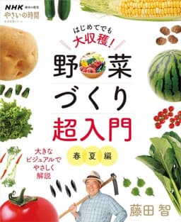 NHK趣味の園芸 やさいの時間 はじめてでも大収穫! 野菜づくり超入門 春夏編 (生活実用シリーズ)