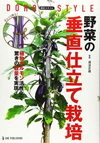道法スタイル 野菜の垂直仕立て栽培