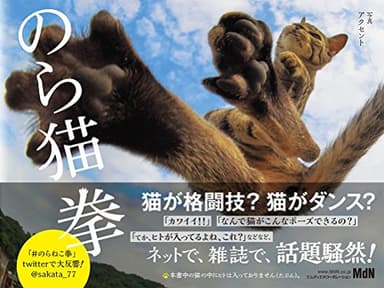 のら猫拳