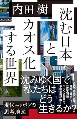 沈む日本とカオス化する世界 (SB新書)