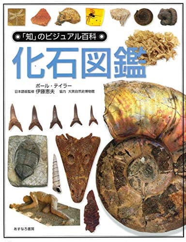 化石図鑑 (「知」のビジュアル百科 4)