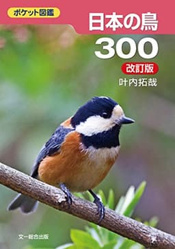 日本の鳥300 改訂版 (ポケット図鑑)