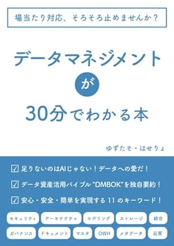 データマネジメントが30分でわかる本