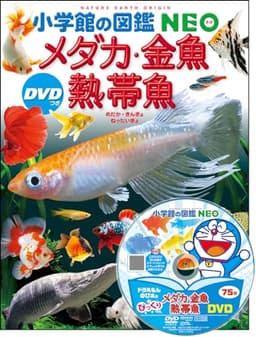 メダカ・金魚・熱帯魚 DVDつき (小学館の図鑑NEO)