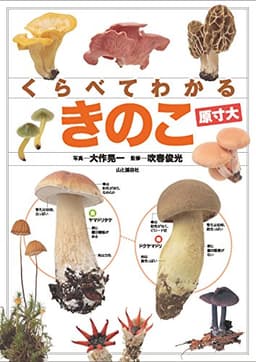 くらべてわかるきのこ 原寸大 (くらべてわかる図鑑)