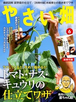 やさい畑　初夏号　2026年　6月号