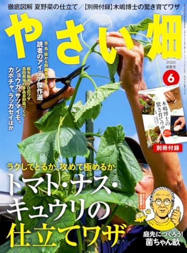 やさい畑　初夏号　2026年　6月号