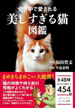 世界中で愛される美しすぎる猫図鑑 (ビジュアルだいわ文庫)