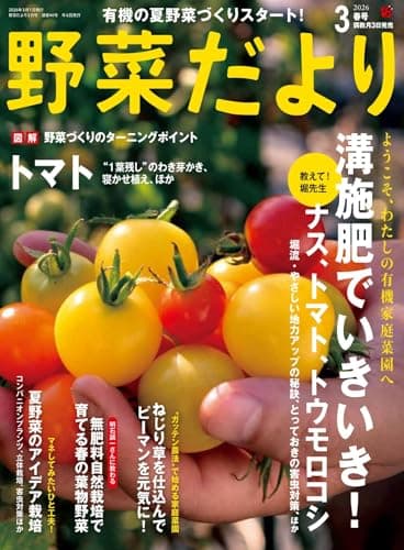 野菜だより2026年3月春号