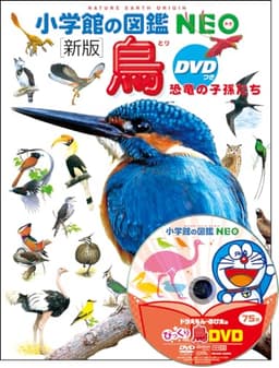 DVD付　新版　鳥 恐竜の子孫たち (小学館の図鑑・NEO)