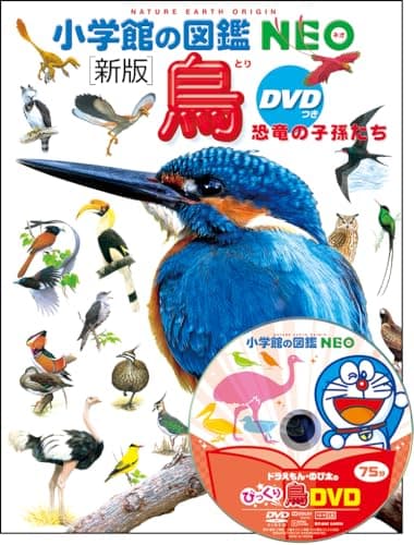DVD付　新版　鳥 恐竜の子孫たち (小学館の図鑑・NEO)