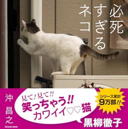 写真集 必死すぎるネコ (タツミムック)