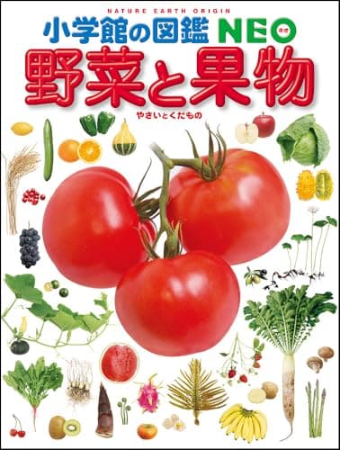小学館の図鑑 NEO 野菜と果物