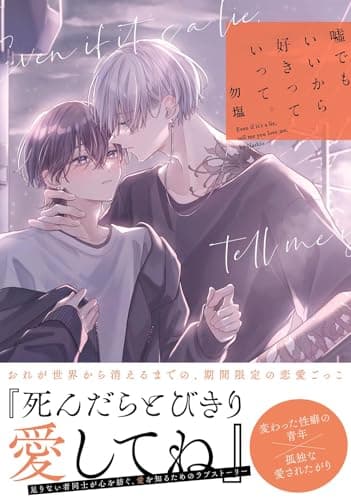 嘘でもいいから好きっていって。 【電子限定おまけ付き】 (バーズコミックス　リンクスコレクション)