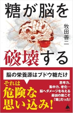 糖が脳を破壊する (SB新書 718)