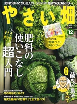 やさい畑　冬号　2025年　12月号