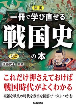 図説 一冊で学び直せる戦国史の本