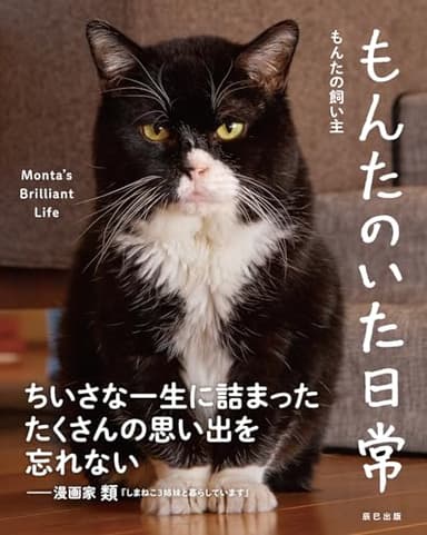 もんたのいた日常