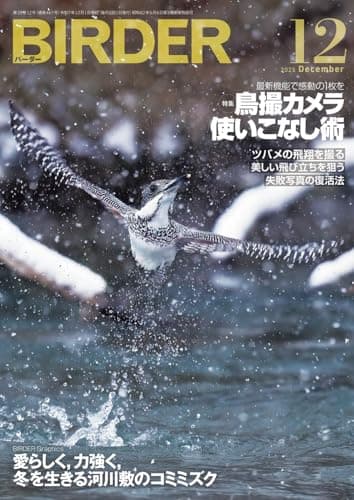 BIRDER（バーダー）2025年12月号　鳥撮カメラ使いこなし術
