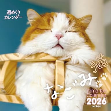 カレンダー2026 週めくりカレンダー なごみ猫（週めくり/卓上・リング/ねこ こねこ） (ヤマケイカレンダー2026)