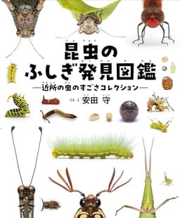 昆虫のふしぎ発見図鑑 近所の虫のすごさコレクション
