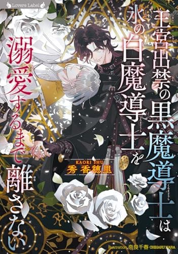 王宮出禁の黒魔導士は氷の白魔導士を溺愛するまで離さない (ラヴァーズ文庫 LL 236)