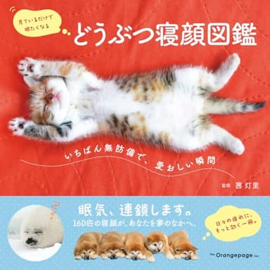 どうぶつ寝顔図鑑　いちばん無防備で、愛おしい瞬間