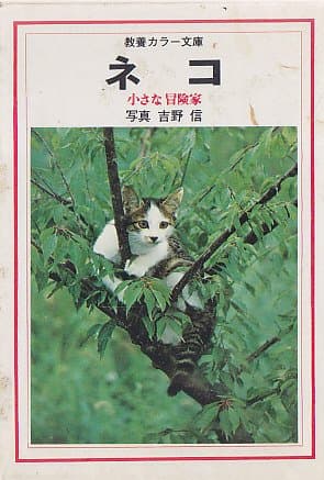 ネコ―小さな冒険家 (1976年) (教養カラー文庫)