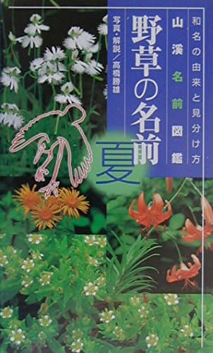野草の名前 夏―和名の由来と見分けかた (山渓名前図鑑)