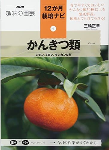 かんきつ類―レモン、ミカン、キンカンなど (NHK趣味の園芸12か月栽培ナビ(6))