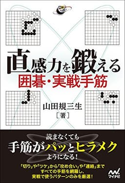 直感力を鍛える 囲碁・実戦手筋 (囲碁人ブックス)