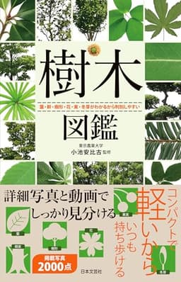 樹木図鑑