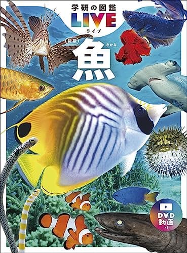 魚　新版 (学研の図鑑ＬＩＶＥ（ライブ）)