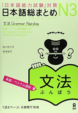 日本語総まとめ N3 文法 [英語・ベトナム語版] Nihongo Soumatome N3 Grammar (English/Vietnamese Edition)