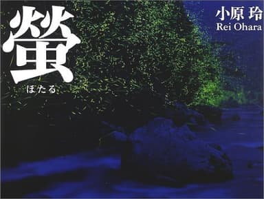 螢: light of a firefly