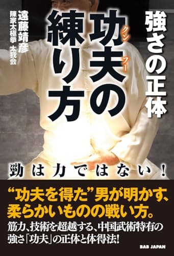 功夫(クンフー)の練り方 強さの正体: 勁は力ではない!