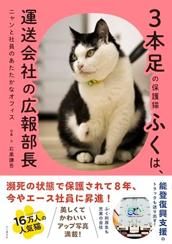 3本足の保護猫ふくは、運送会社の広報部長 ニャンと社員のあたたかなオフィス