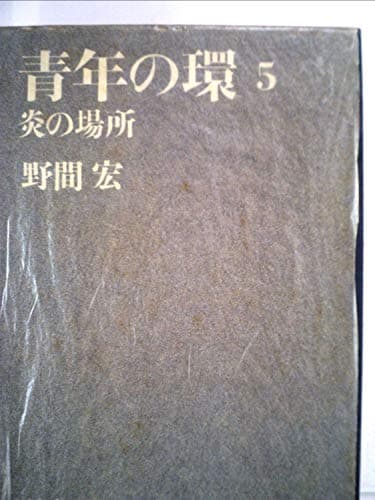 青年の環〈5〉炎の場所 (1971年)