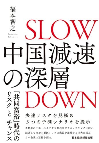 中国減速の深層　「共同富裕」時代のリスクとチャンス (日本経済新聞出版)