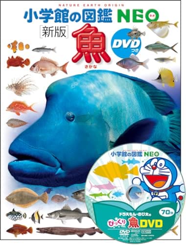 DVD付 新版 魚 (小学館の図鑑 NEO)