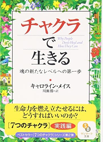 チャクラで生きる (サンマーク文庫 E- 48)