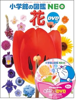 DVD付 花 (小学館の図鑑 NEO)