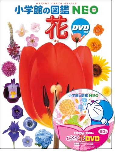 DVD付 花 (小学館の図鑑 NEO)